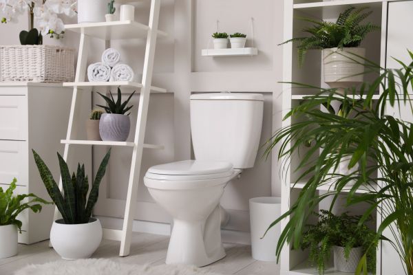 Toilet Repair in North Richland Hills