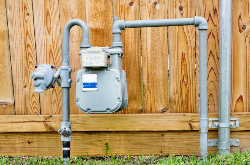 Backflow Repair detail