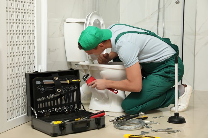 Toilet Repair